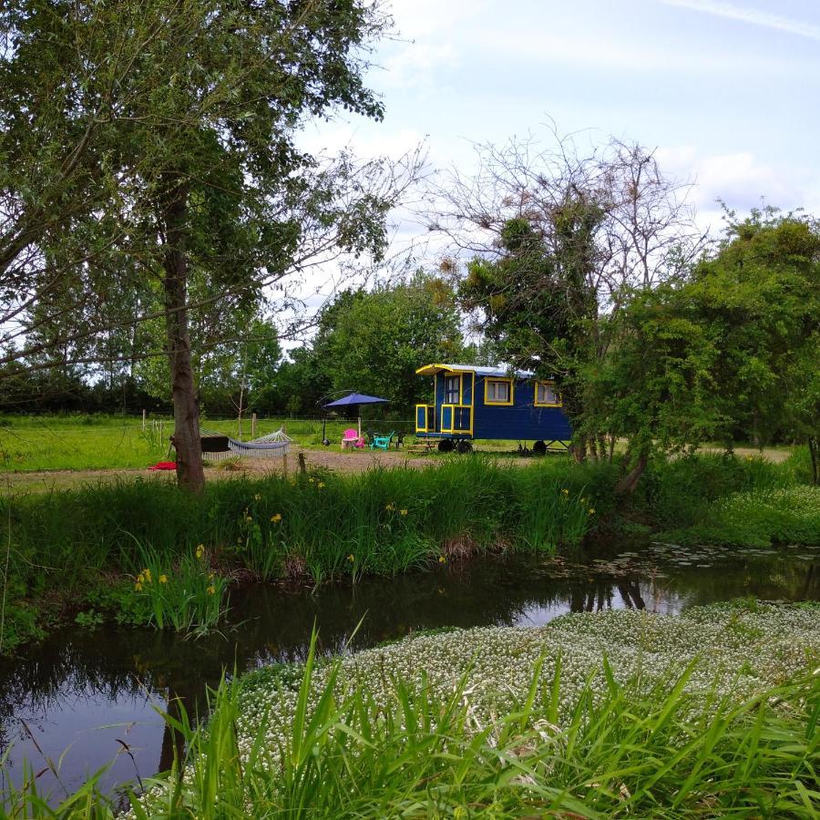 La Roulotte Du Moulin De Palet Villa Baugé Esterno foto